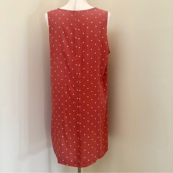Madewell. Heather Button-Front Dress. Polka Dot Sweet Dahlia. Large - Picture 7 of 12